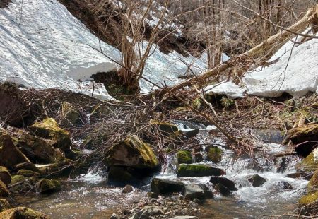 雪の残る渓流でルアーフィッシング ～長良川水系～